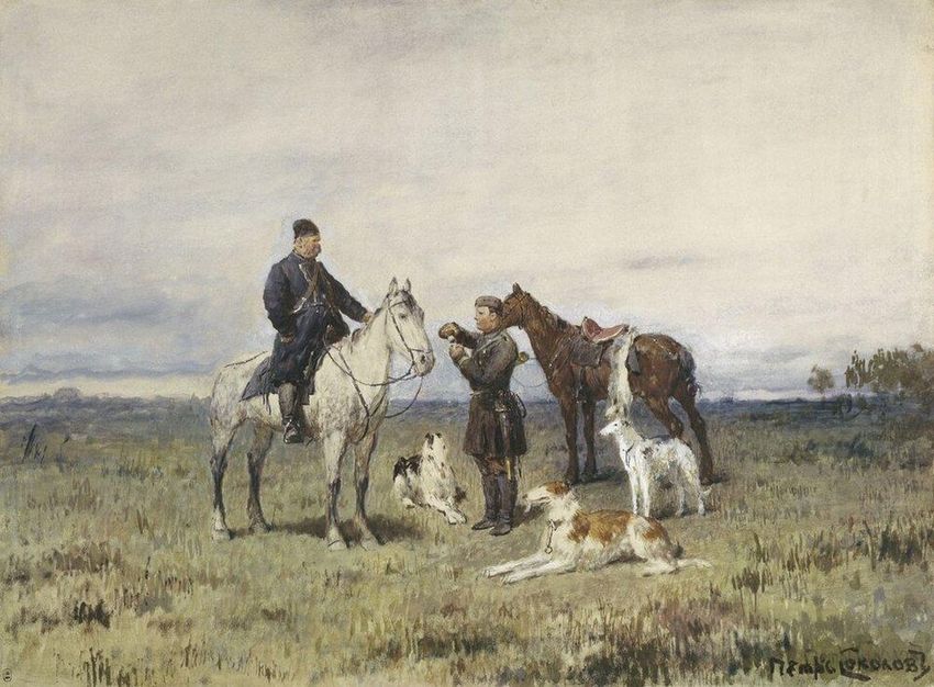Русская псовая борзая — в профиль